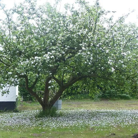 Kristiansminde Farm Holiday Tistrup Extérieur photo