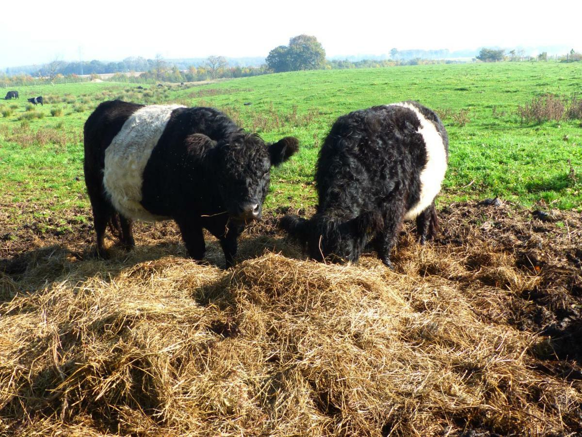 Kristiansminde Farm * Tistrup